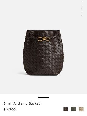 Bottega Andiamo Bucket Bag- BRAND NEW